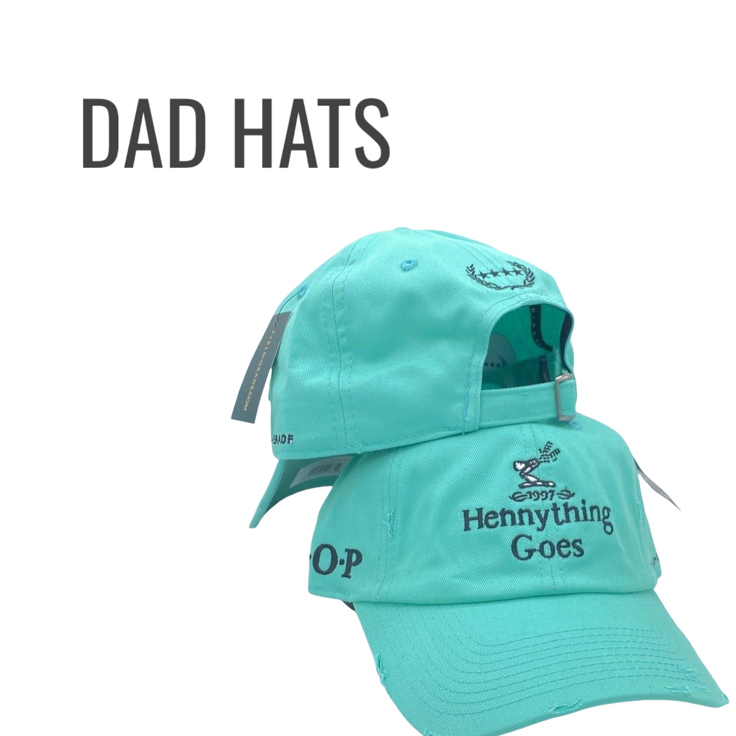 field grade puff money snapback dad hat