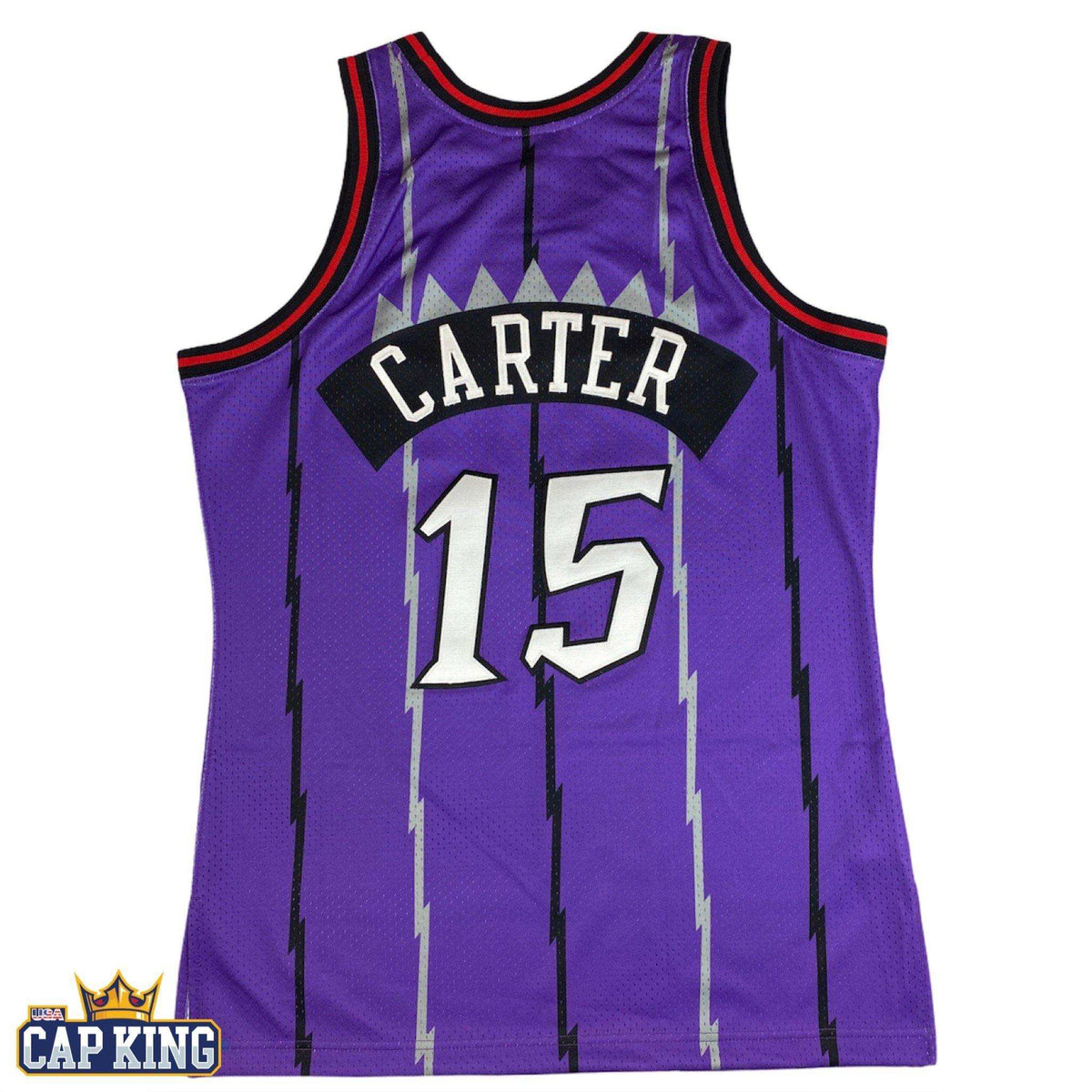 Vince Carter #15 Toronto Raptors Monochrome Mitchell & Ness Swingman NBA Jersey  Purple
