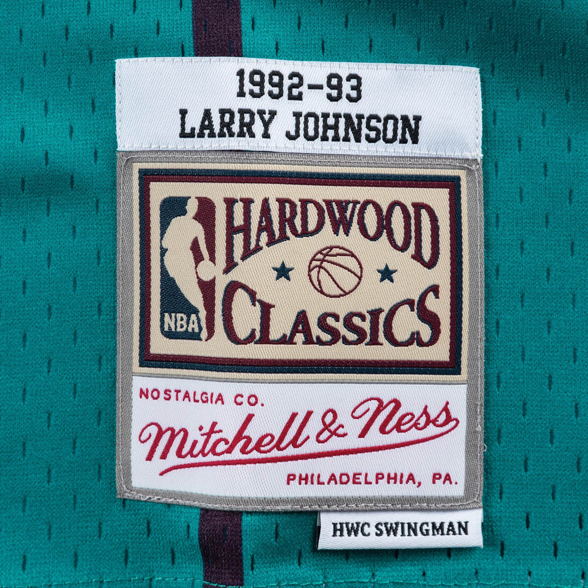 Swingman Jersey Charlotte Hornets Alternate 1994-95 Larry Johnson