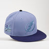 Anime vs Cartoons Tampa Bay Lightning ASG 59FIFTY New Era Hat -A light blue and navy blue Tampa Bay Lightning baseball cap with embroidered team logos on the front and side, set against a plain light gray background.