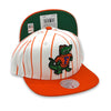 Florida Gators Retro Pinstripe NCAA Mitchell&Ness White & Orange Snapback Hat