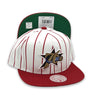 Philadelphia 76ers Retro Pinstripe NBA Mitchell&Ness White & Cardinal Snapback Hat
