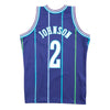 Swingman Jersey Charlotte Hornets Alternate 1994-95 Larry Johnson
