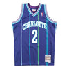Swingman Jersey Charlotte Hornets Alternate 1994-95 Larry Johnson