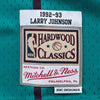 Swingman Jersey Charlotte Hornets Road 1992-93 Larry Johnson